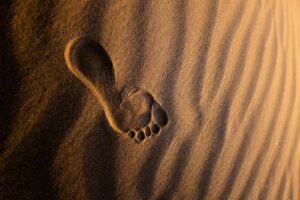 Leia mais sobre o artigo Treinar descalço faz sentido? Benefícios e riscos da prática de barefoot training